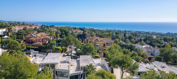 House for rent in Golden Mile of Marbella Meisho Hills