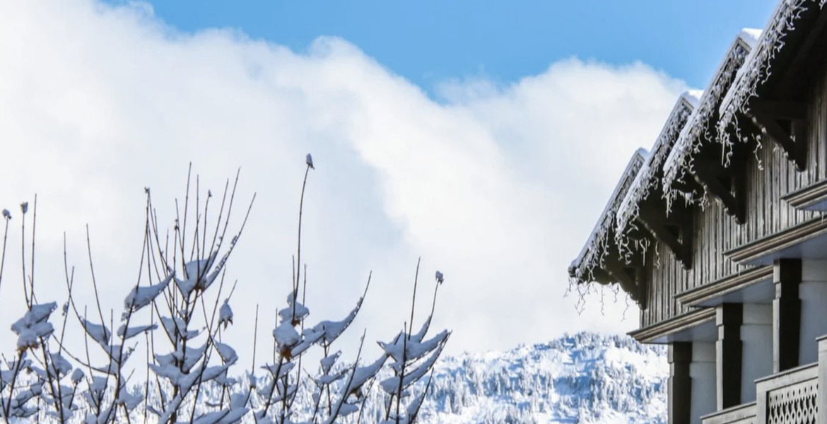 Апартамент в аренду на Белькоте Куршевель 1850