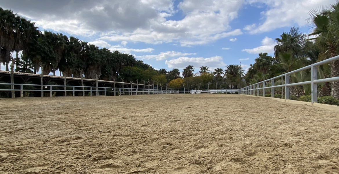 Luxury Equestrian Estate in Alhaurín de la Torre, Málaga