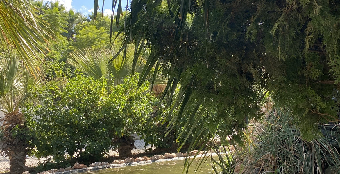 Luxury Equestrian Estate in Alhaurín de la Torre, Málaga