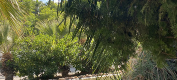 Luxury Equestrian Estate in Alhaurín de la Torre, Málaga