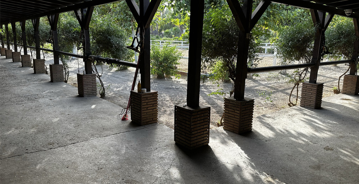 Luxury Equestrian Estate in Alhaurín de la Torre, Málaga