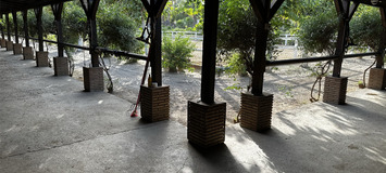 Luxury Equestrian Estate in Alhaurín de la Torre, Málaga