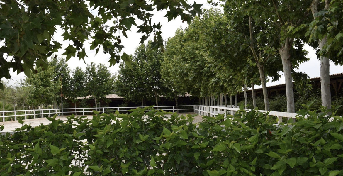 Luxury Equestrian Estate in Alhaurín de la Torre, Málaga