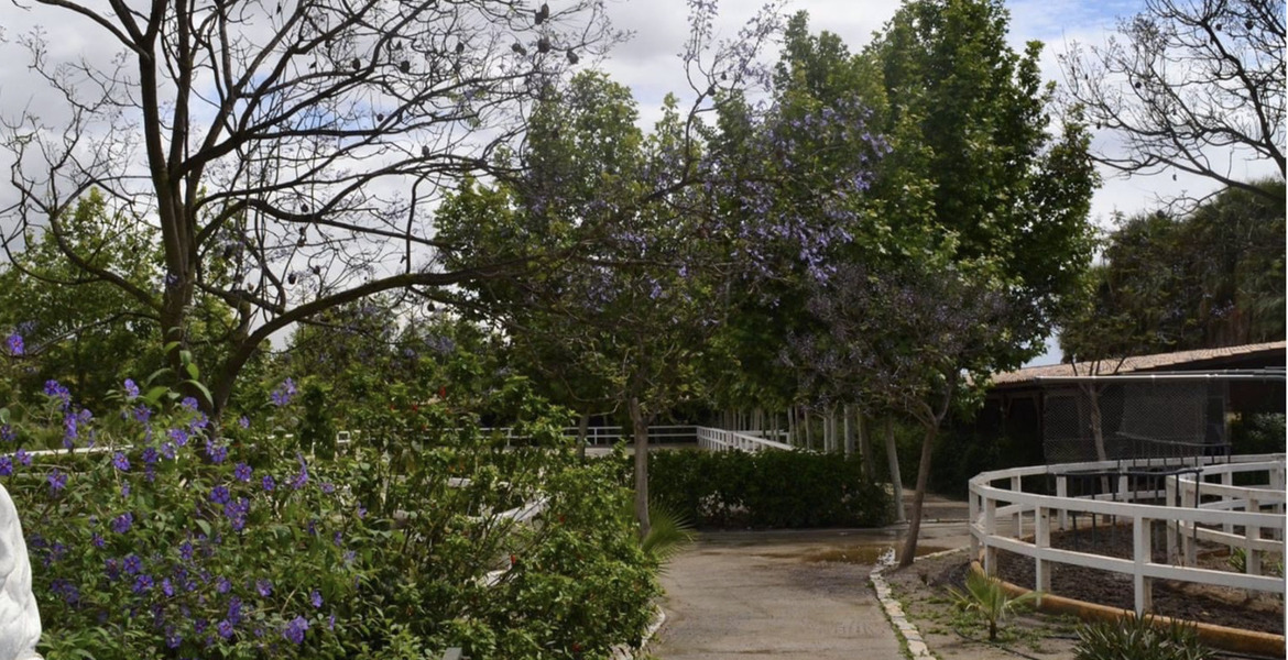 Luxury Equestrian Estate in Alhaurín de la Torre, Málaga
