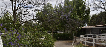 Luxury Equestrian Estate in Alhaurín de la Torre, Málaga