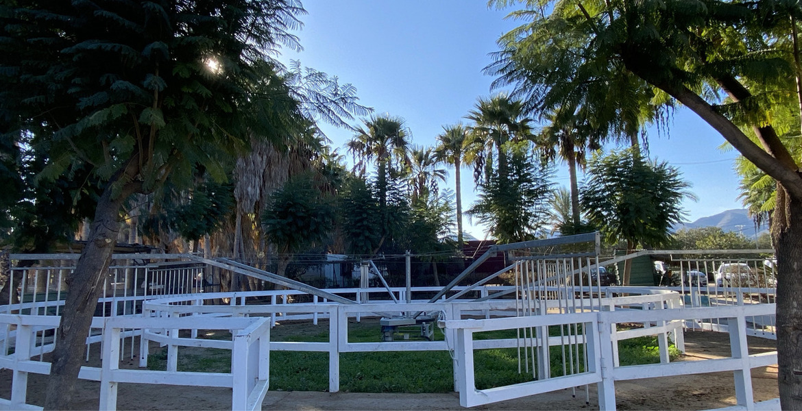 Luxury Equestrian Estate in Alhaurín de la Torre, Málaga