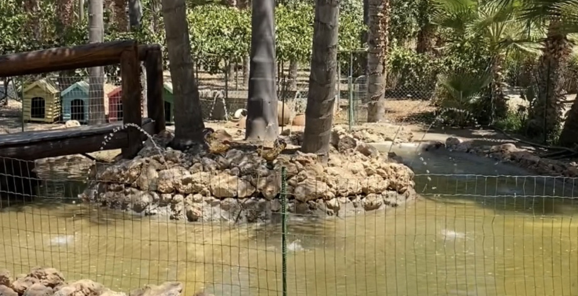 Luxury Equestrian Estate in Alhaurín de la Torre, Málaga