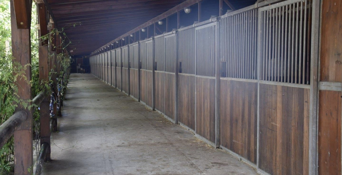 Luxury Equestrian Estate in Alhaurín de la Torre, Málaga