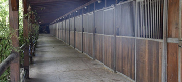 Luxury Equestrian Estate in Alhaurín de la Torre, Málaga