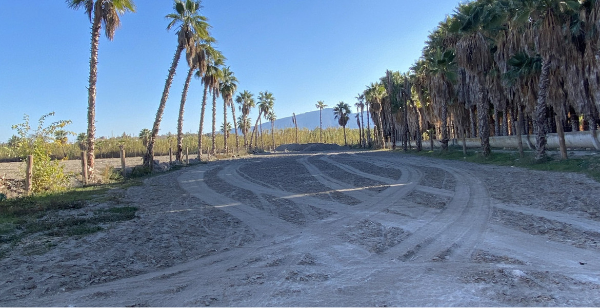 Luxury Equestrian Estate in Alhaurín de la Torre, Málaga
