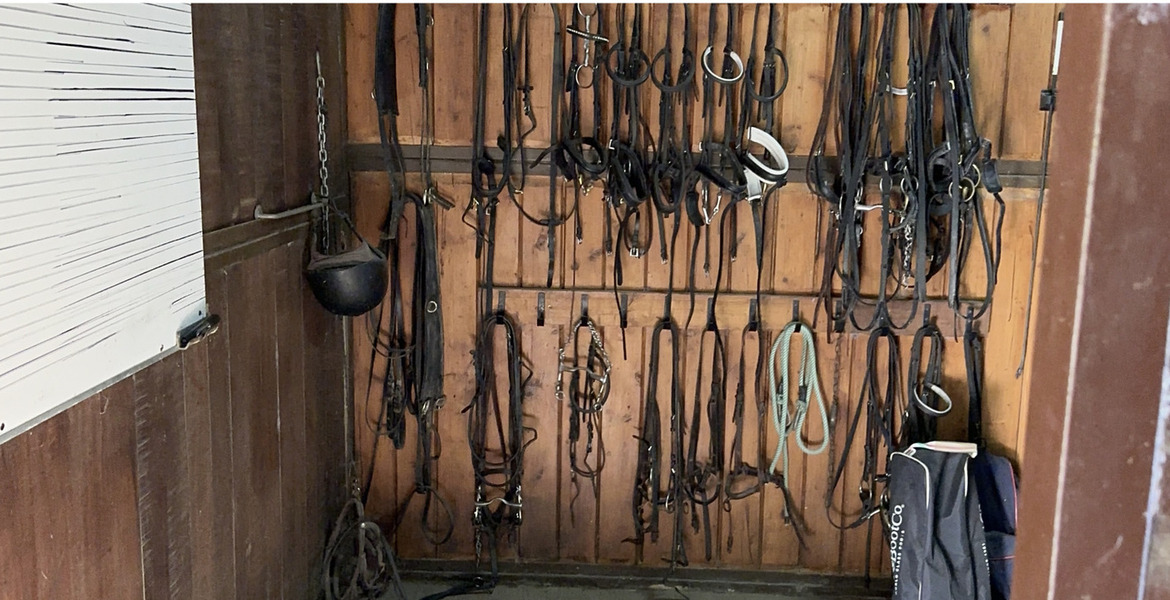 Luxury Equestrian Estate in Alhaurín de la Torre, Málaga