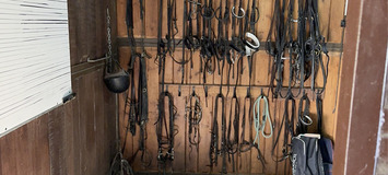 Luxury Equestrian Estate in Alhaurín de la Torre, Málaga