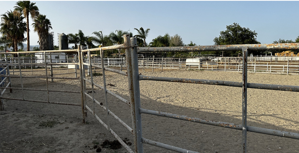 Luxury Equestrian Estate in Alhaurín de la Torre, Málaga