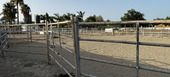 Luxury Equestrian Estate in Alhaurín de la Torre, Málaga