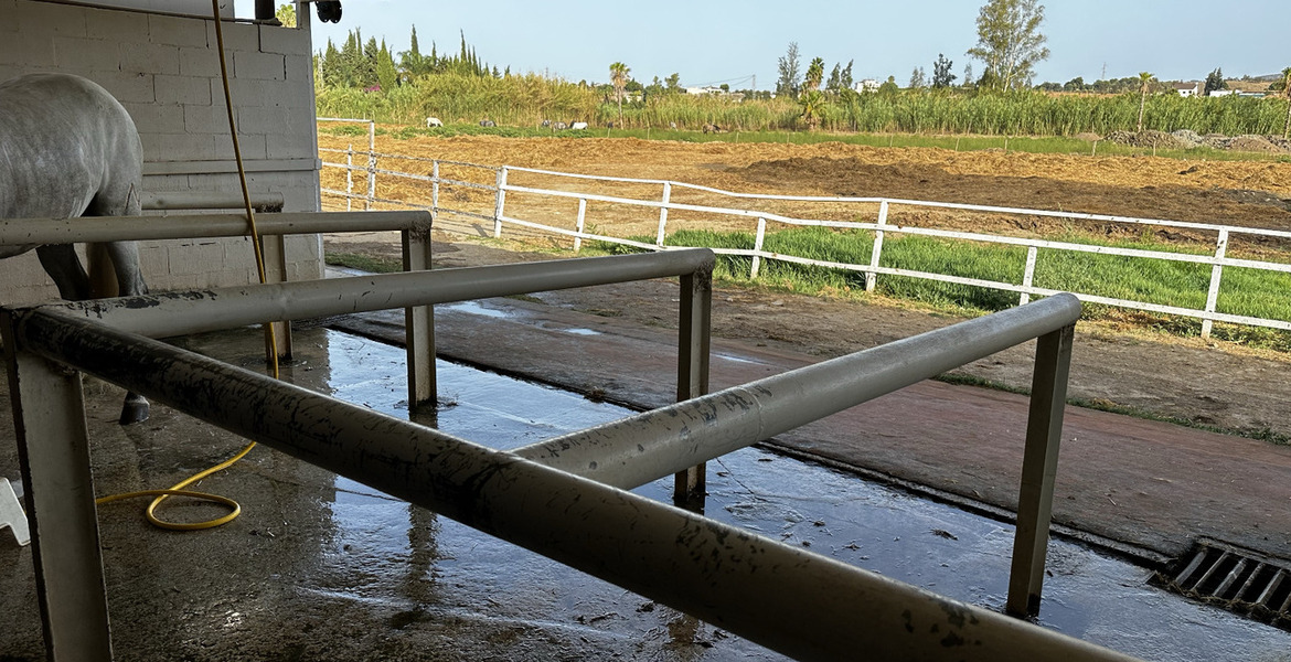 Luxury Equestrian Estate in Alhaurín de la Torre, Málaga