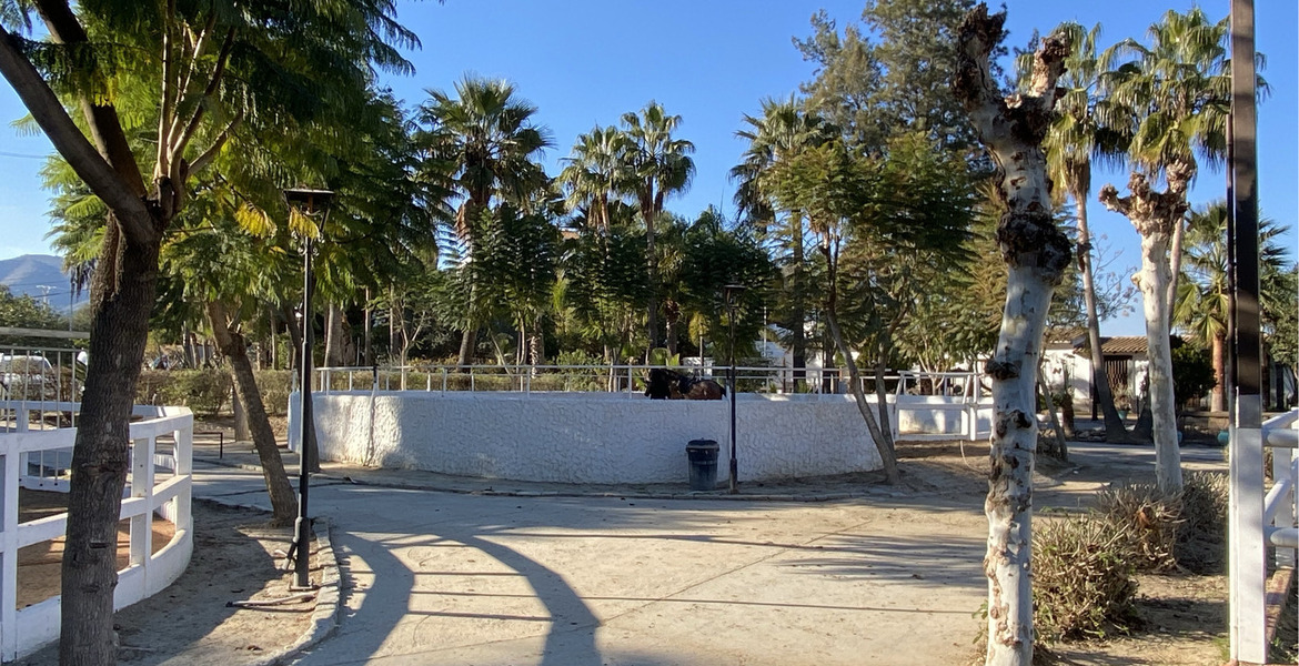 Luxury Equestrian Estate in Alhaurín de la Torre, Málaga