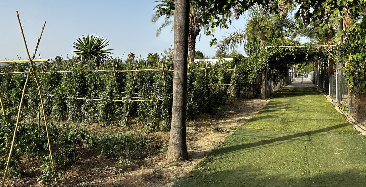 Luxury Equestrian Estate in Alhaurín de la Torre, Málaga