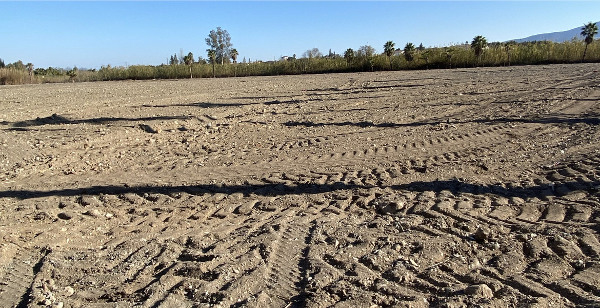 Luxury Equestrian Estate in Alhaurín de la Torre, Málaga