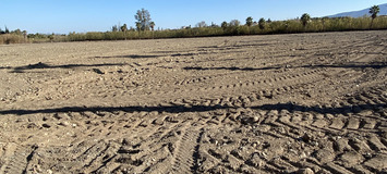 Luxury Equestrian Estate in Alhaurín de la Torre, Málaga