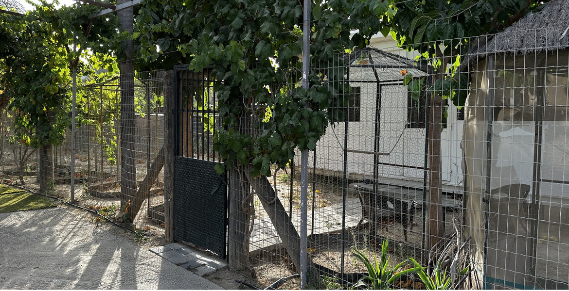 Luxury Equestrian Estate in Alhaurín de la Torre, Málaga