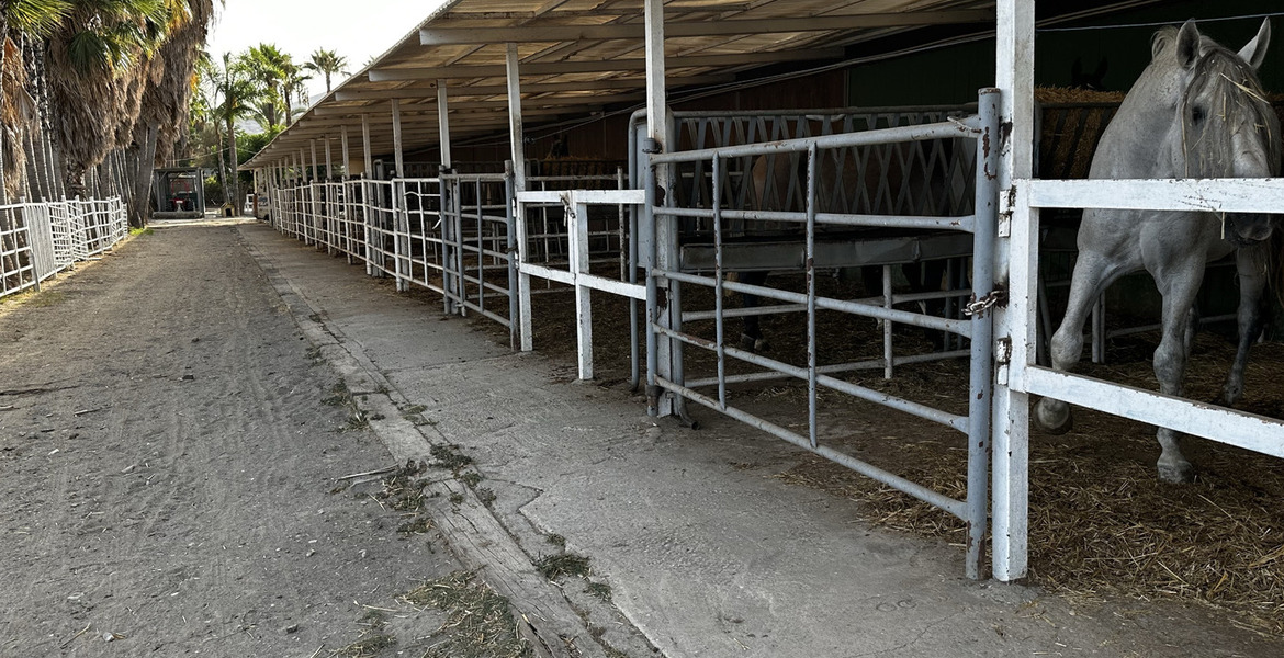 Luxury Equestrian Estate in Alhaurín de la Torre, Málaga