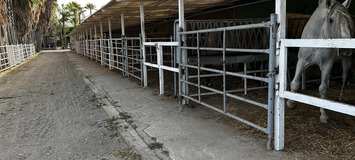 Luxury Equestrian Estate in Alhaurín de la Torre, Málaga