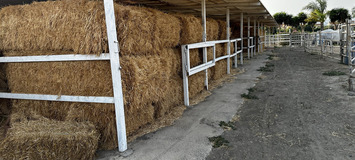 Luxury Equestrian Estate in Alhaurín de la Torre, Málaga