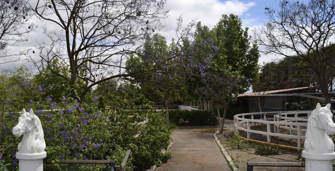 Luxury Equestrian Estate in Alhaurín de la Torre, Málaga