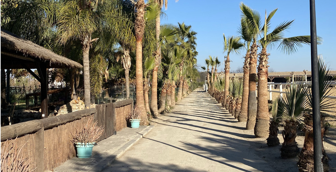 Luxury Equestrian Estate in Alhaurín de la Torre, Málaga