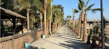 Luxury Equestrian Estate in Alhaurín de la Torre, Málaga