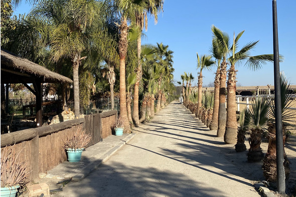 Конноспортивное поместье в Альаурин-де-ла-Торре, Малага