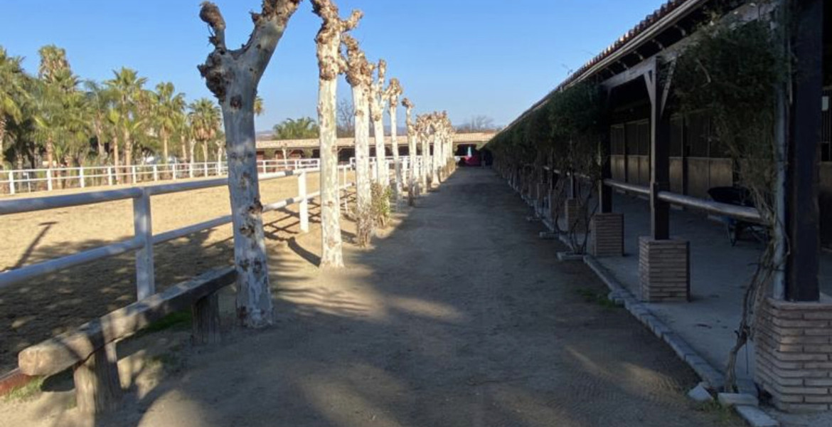 Luxury Equestrian Estate in Alhaurín de la Torre, Málaga