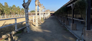 Luxury Equestrian Estate in Alhaurín de la Torre, Málaga
