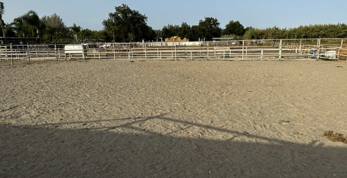Luxury Equestrian Estate in Alhaurín de la Torre, Málaga