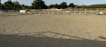Luxury Equestrian Estate in Alhaurín de la Torre, Málaga