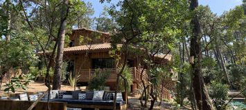 Вилла в аренду Кап-Ферре