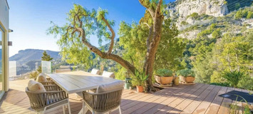 Вилла в аренду в Рокебрюн-Кап-Мартен