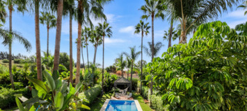 Villa for rent in Marbella La Alzambra Nueva Andalucia