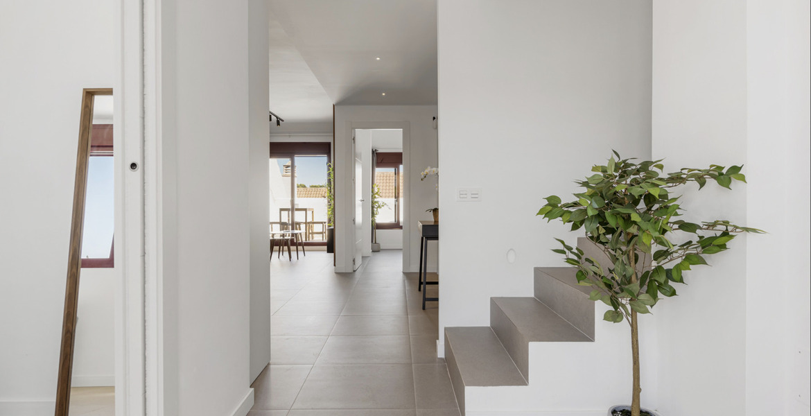 Apartment for rent in Marbella Nueva Andalucia