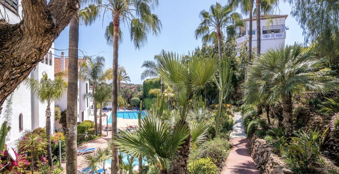 Apartment for rent in Marbella Nueva Andalucia