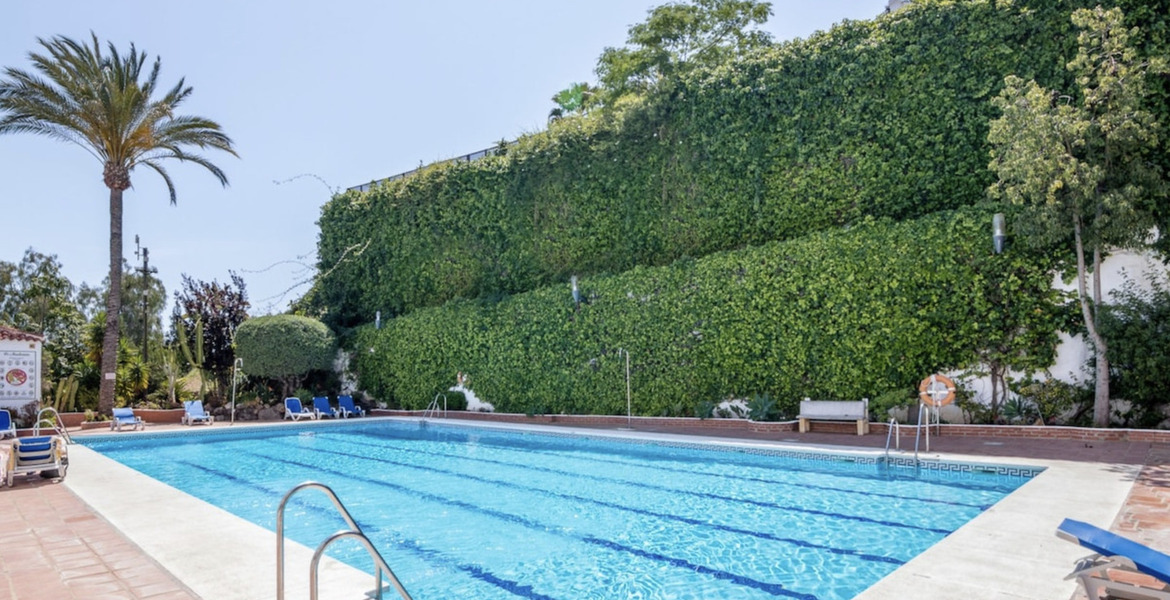 Apartment for rent in Marbella Nueva Andalucia