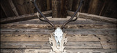 Chalet en alquiler en Nasserein, St. Anton, Austria