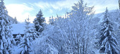 Chalet à louer à Méribel - Station
