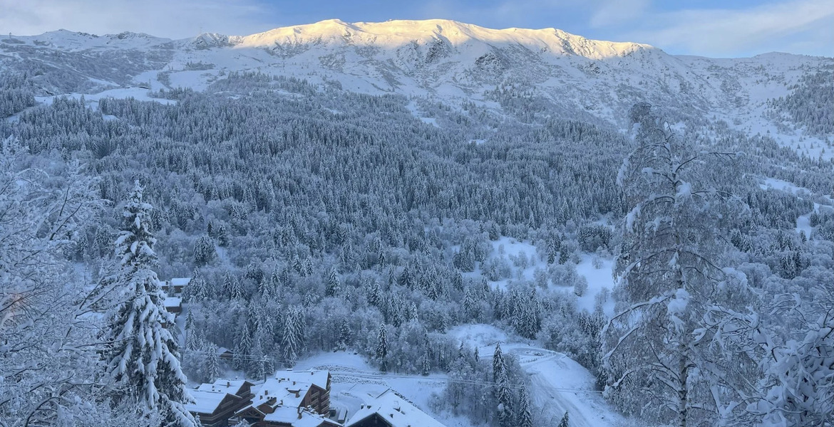 Chalet à louer à Méribel - Station