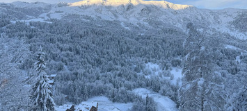 Chalet à louer à Méribel - Station