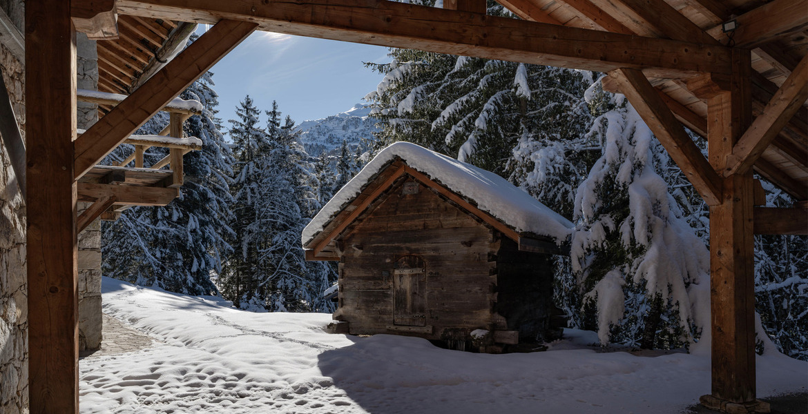 Chalet for rent in Meribel Ch. des  Brames