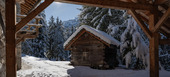 Chalet for rent in Meribel Ch. des  Brames