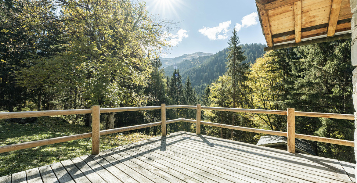 Chalet for rent in Meribel Ch. des  Brames