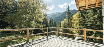 Chalet for rent in Meribel Ch. des  Brames
